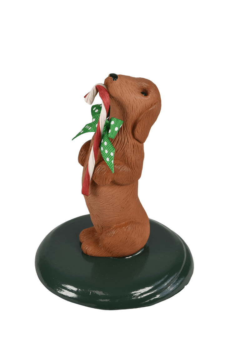 Dachshund Dog
