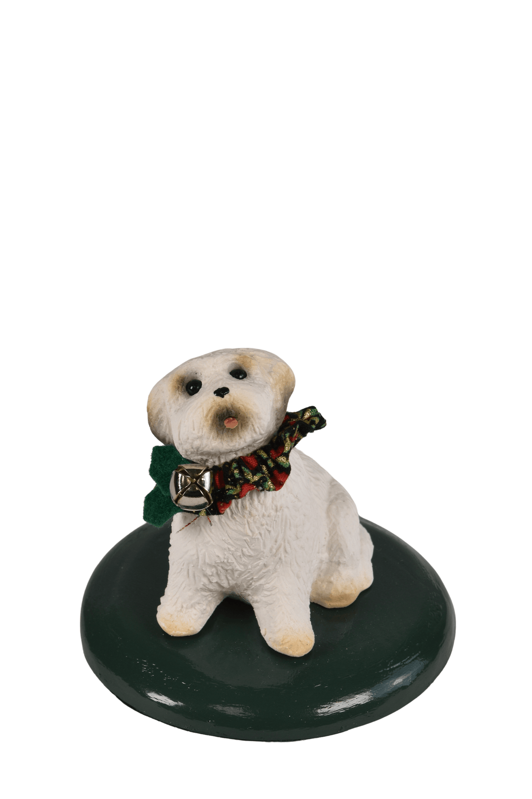 Bichon Dog