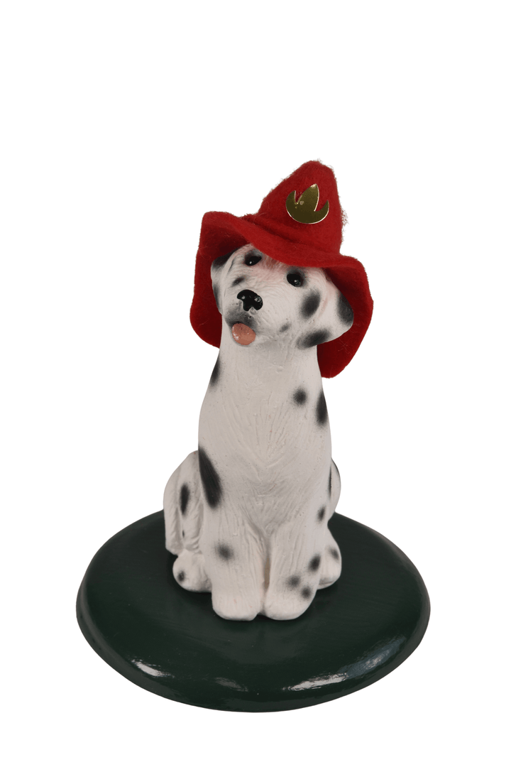 Dalmatian Dog