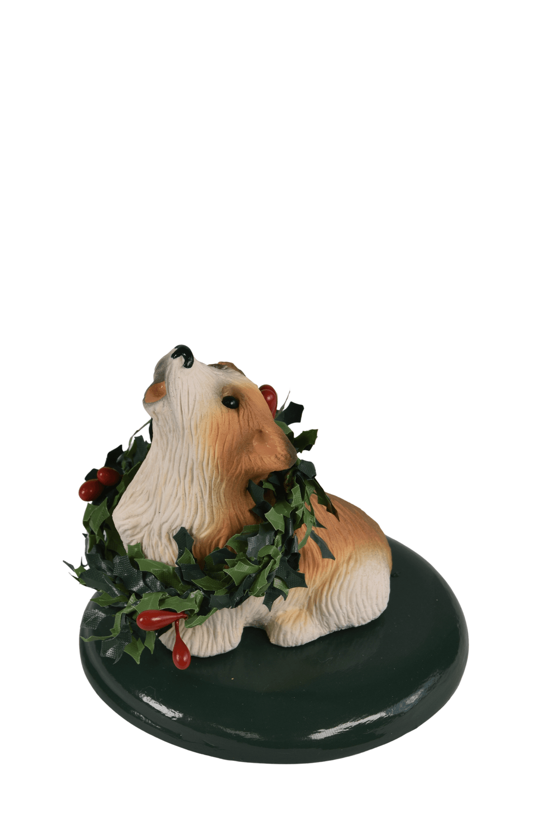 Corgi