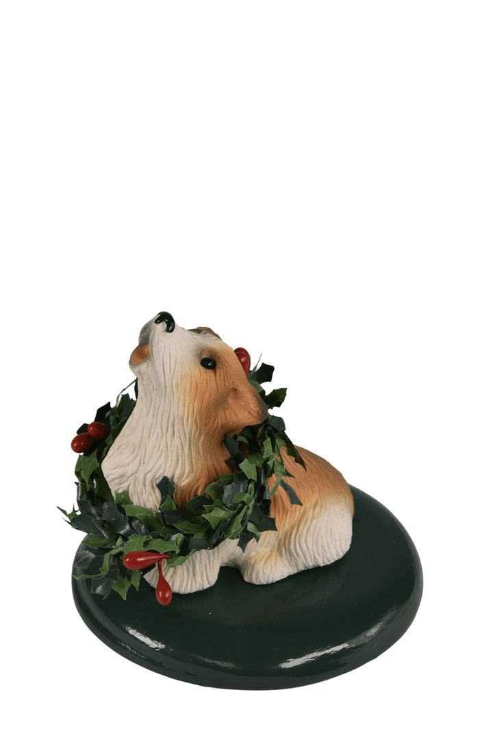 Corgi