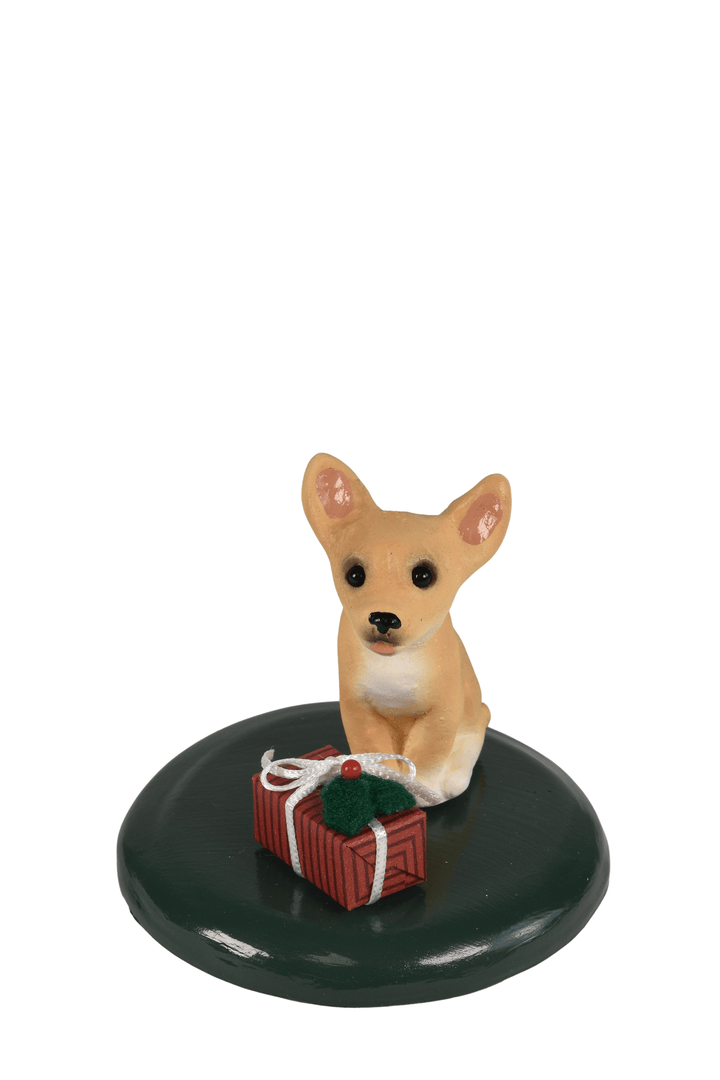 Chihuahua