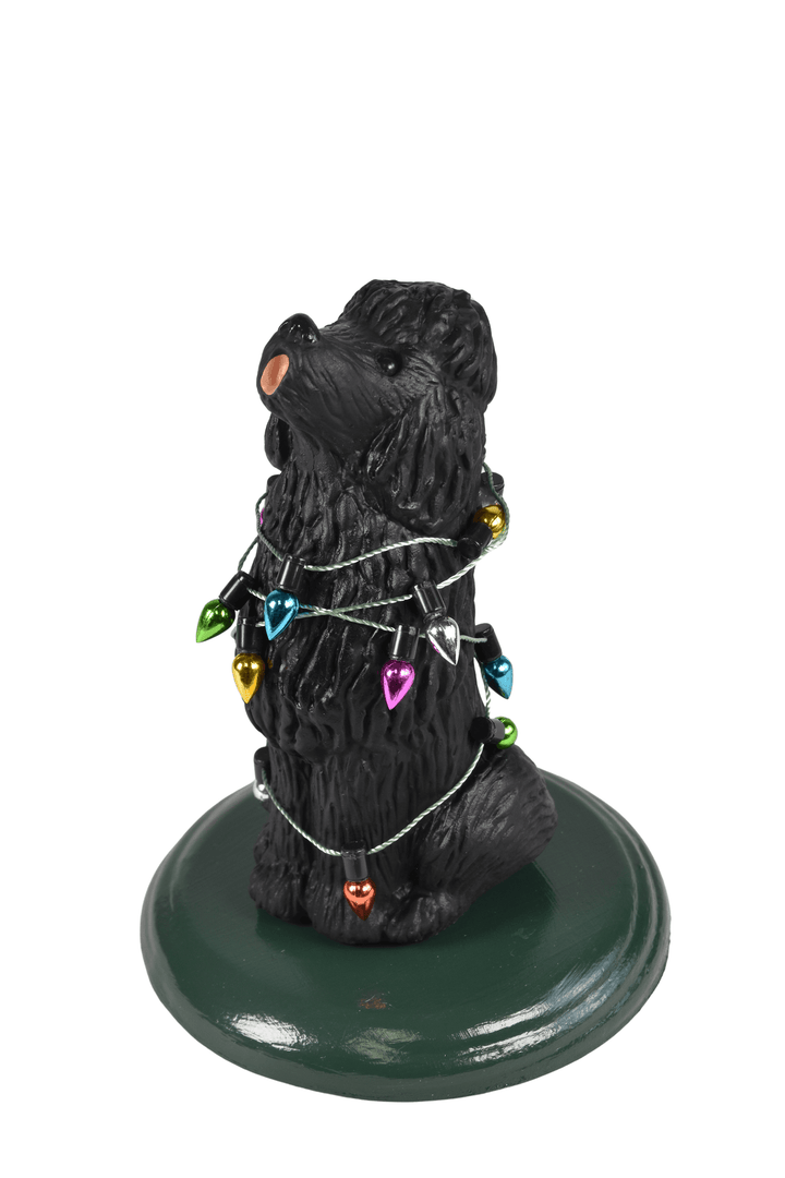 Black Poodle