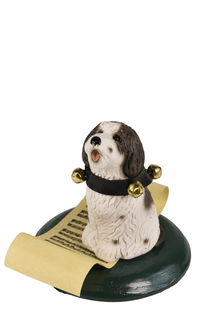 Border Collie with Music