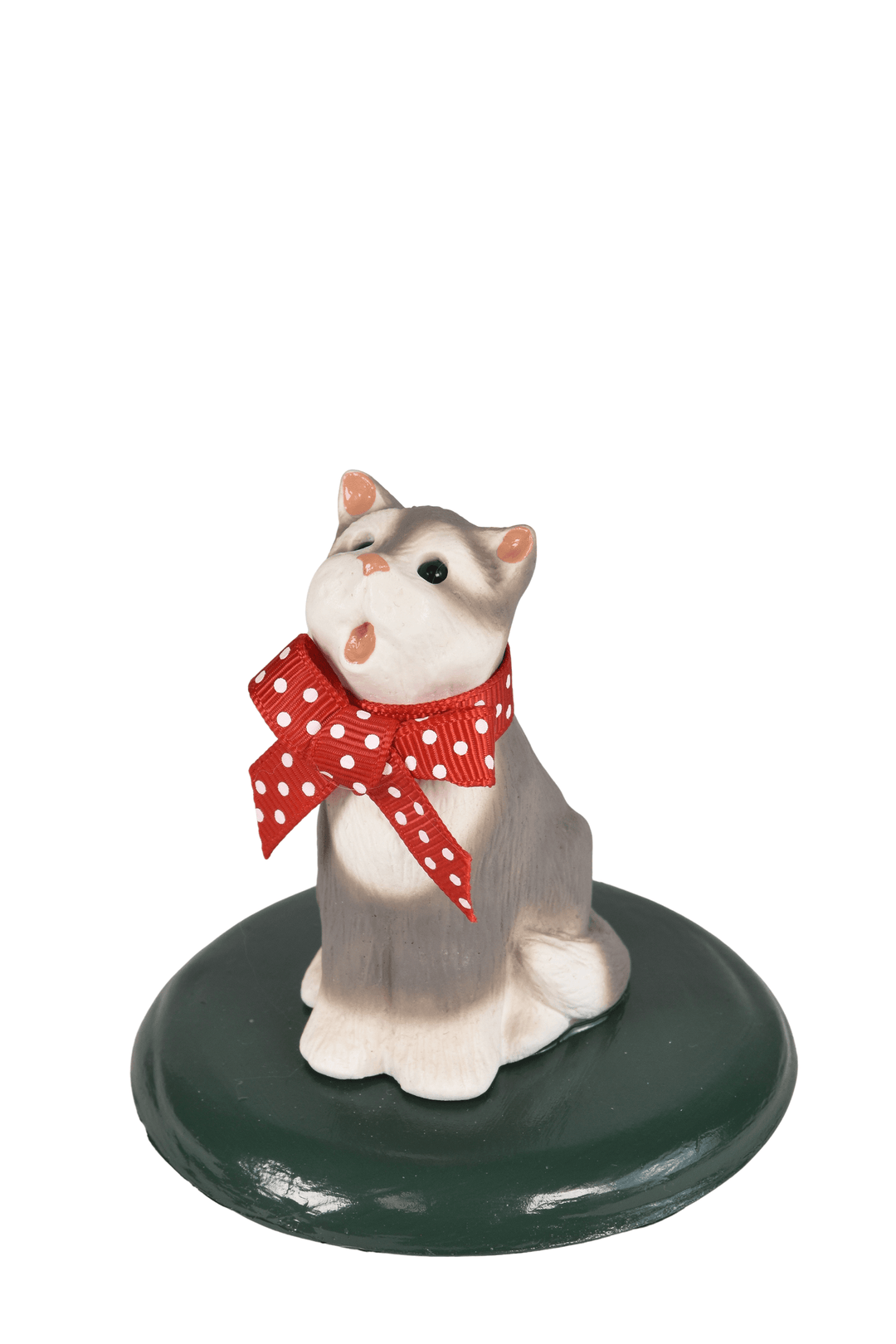 Grey & White Cat