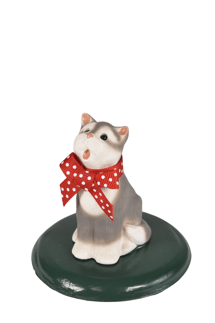 Grey & White Cat
