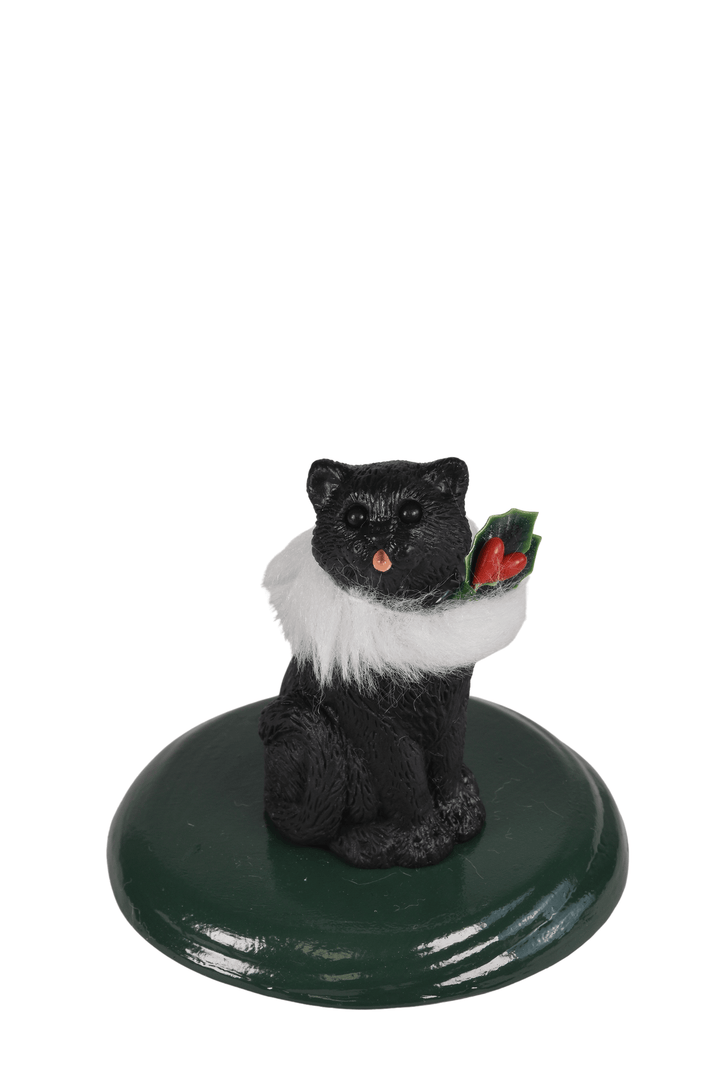 Black Cat
