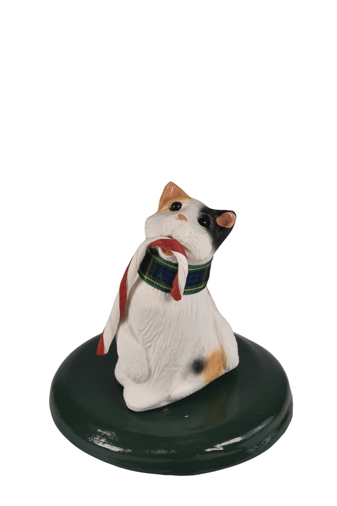 Calico Cat
