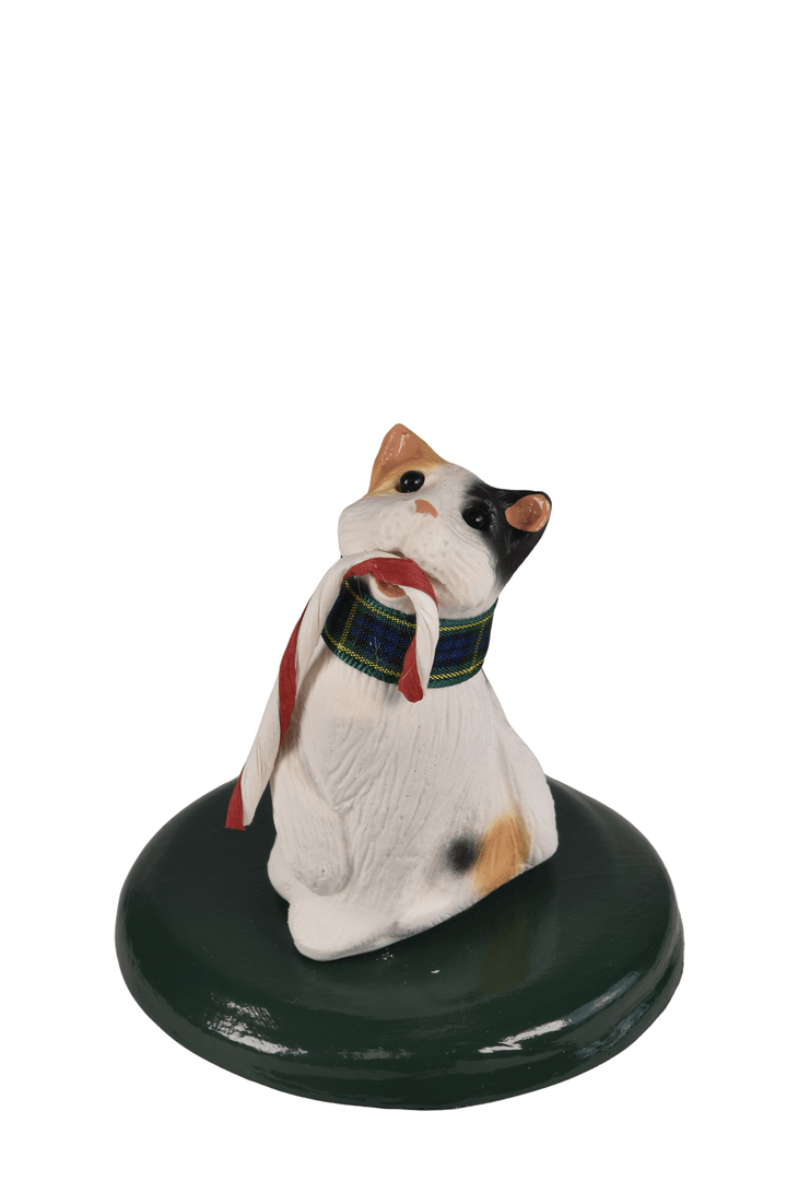 Calico Cat