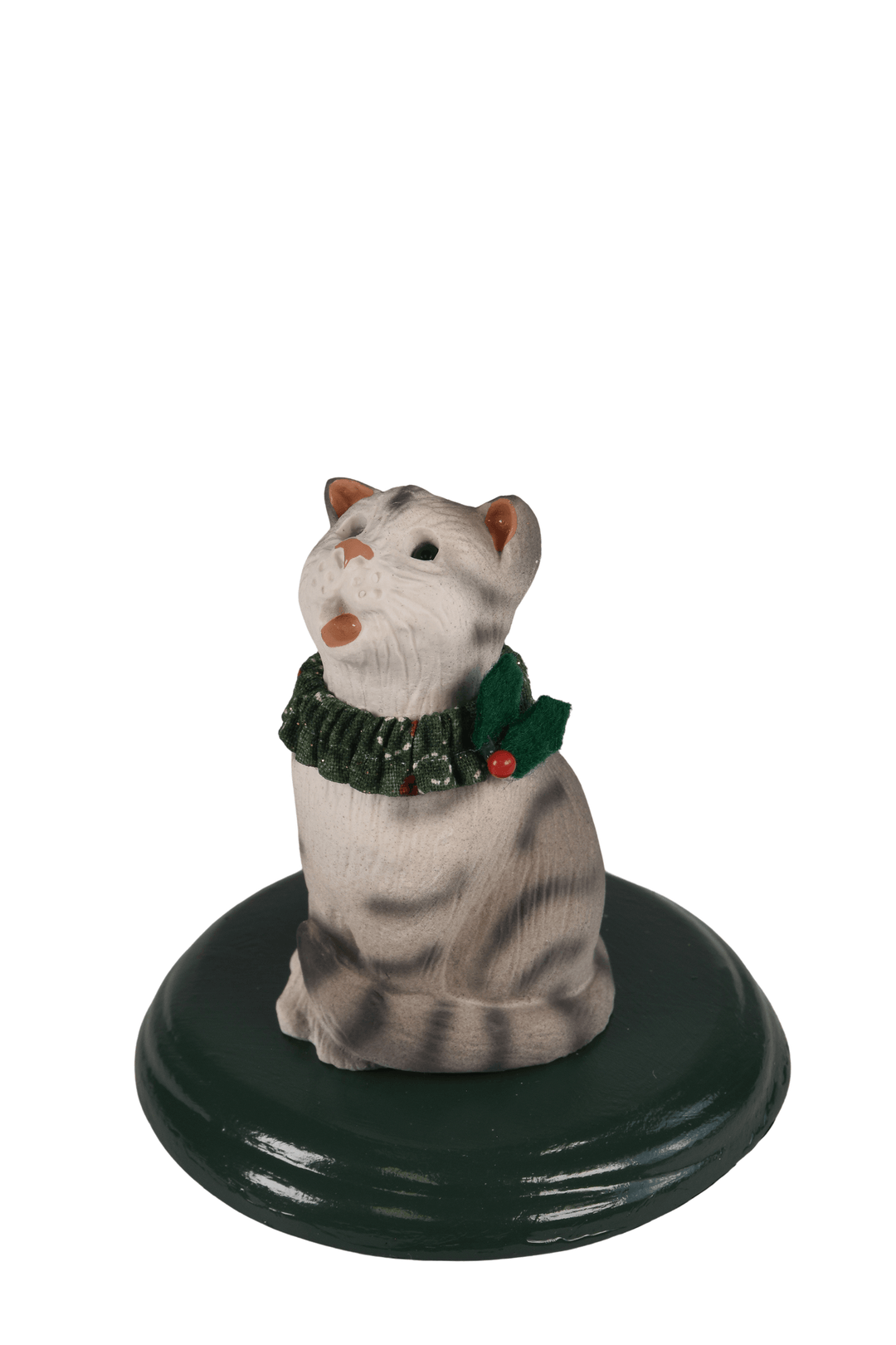 Silver Tabby Cat