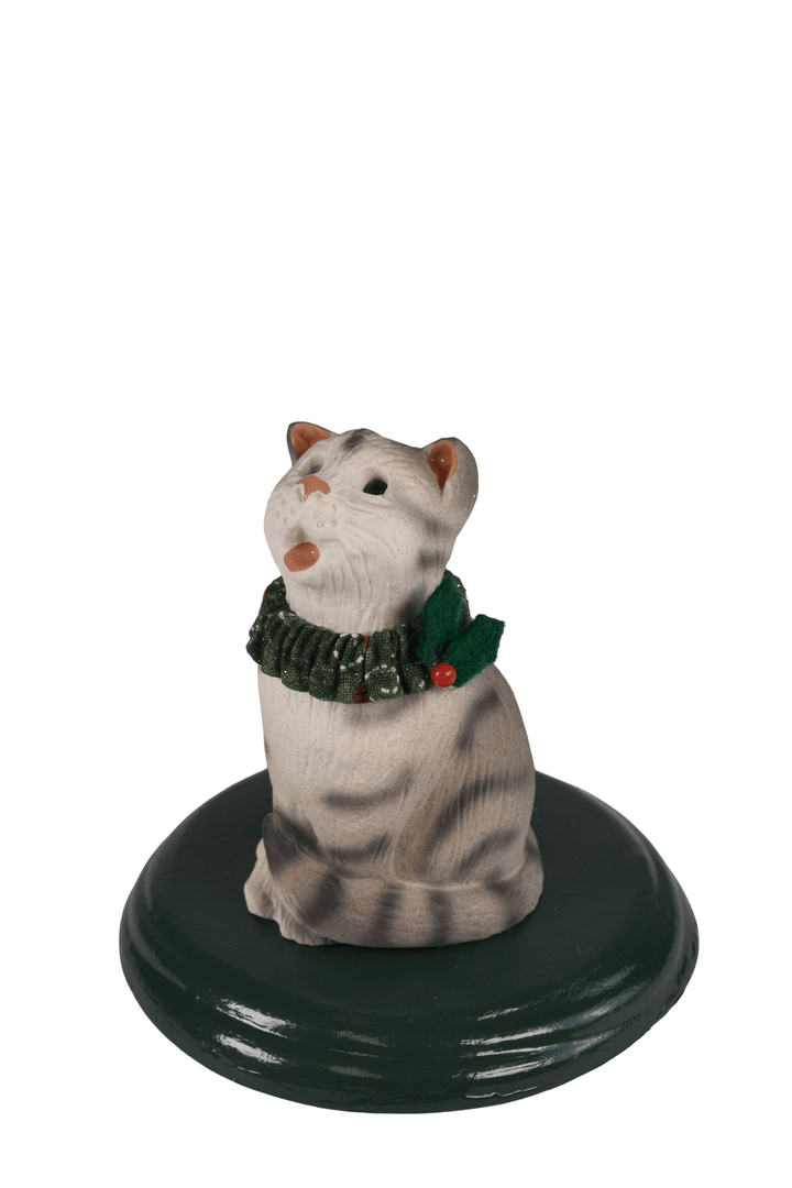 Silver Tabby Cat
