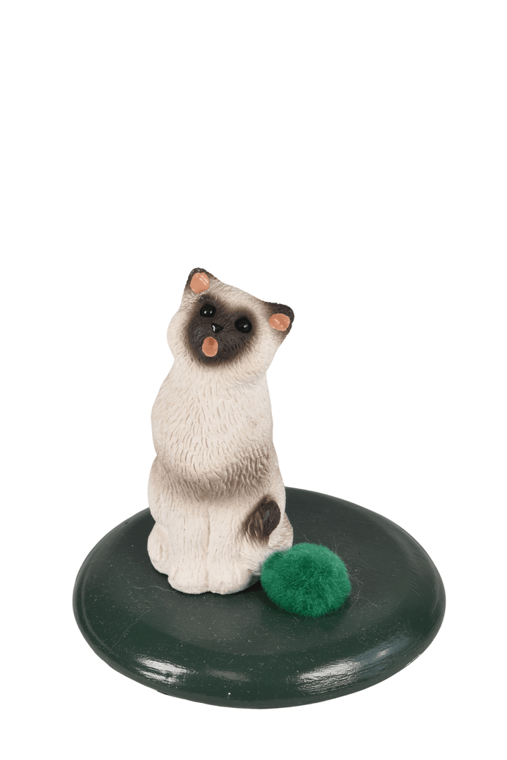 Sealpoint Cat