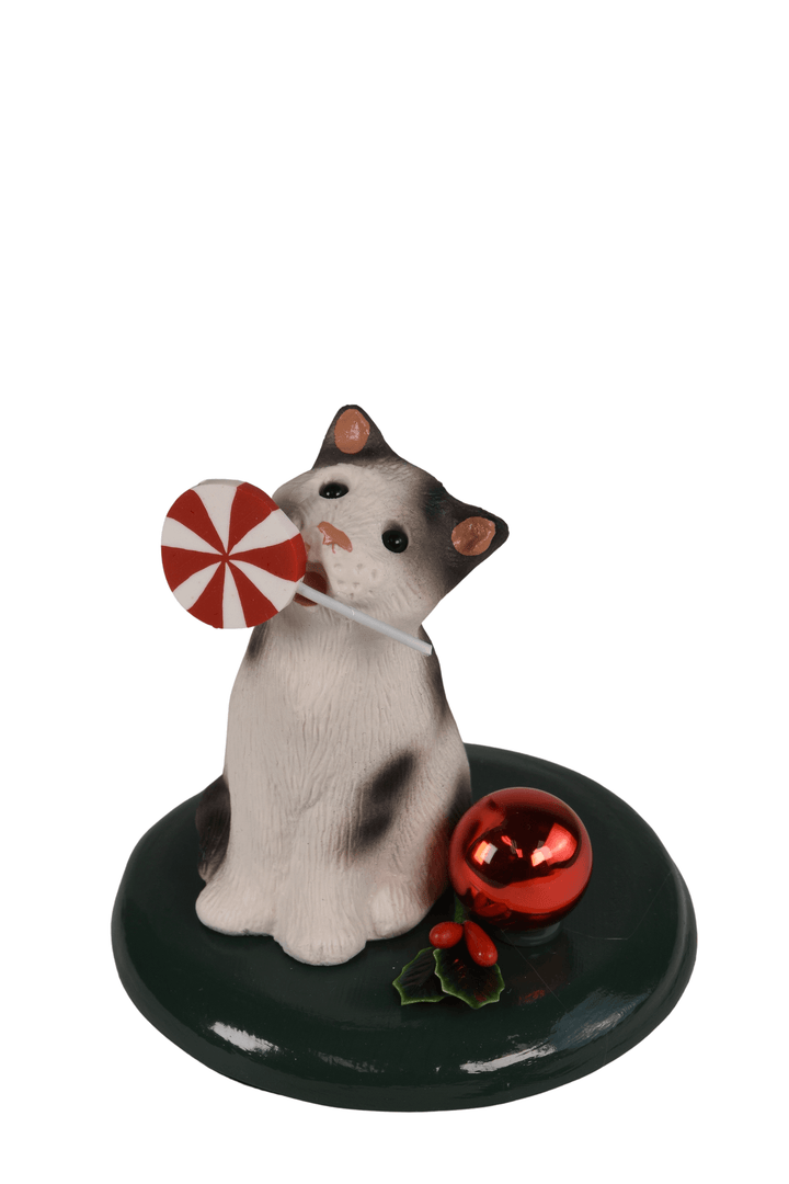 Cat with Sweets