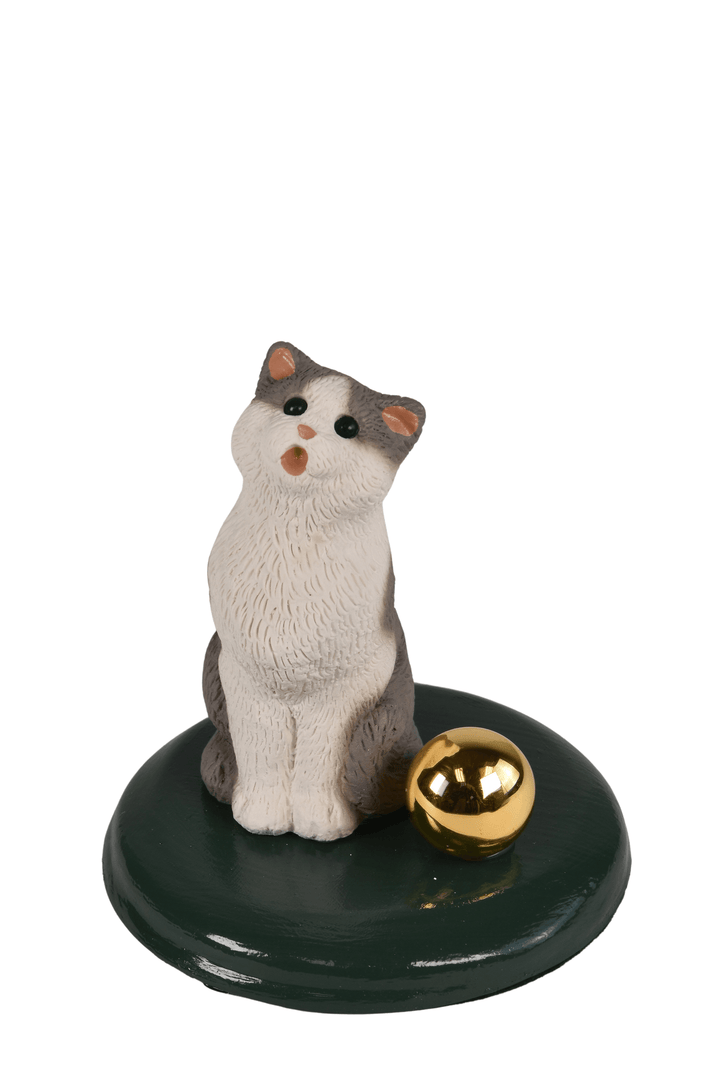Grey and White Cat
