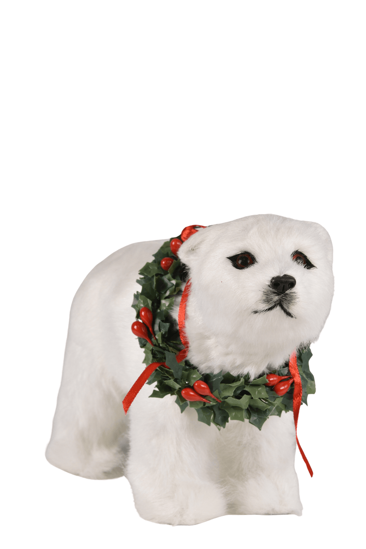 Polar Bear