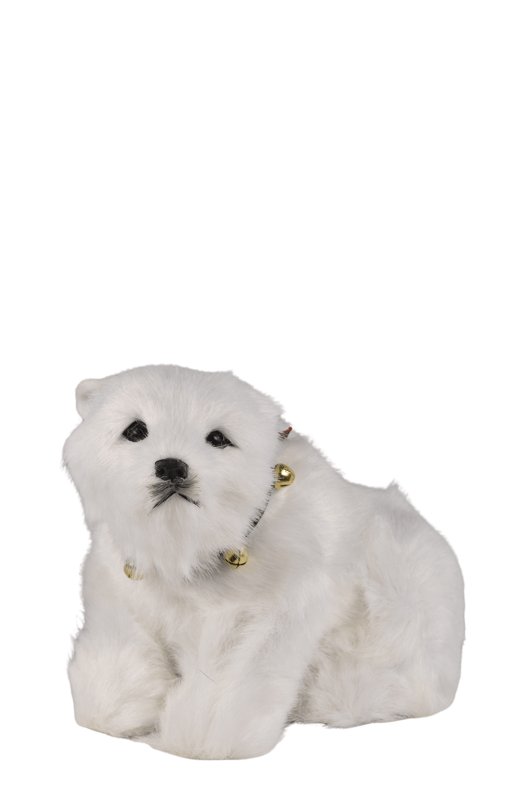 Seated Polar Bear