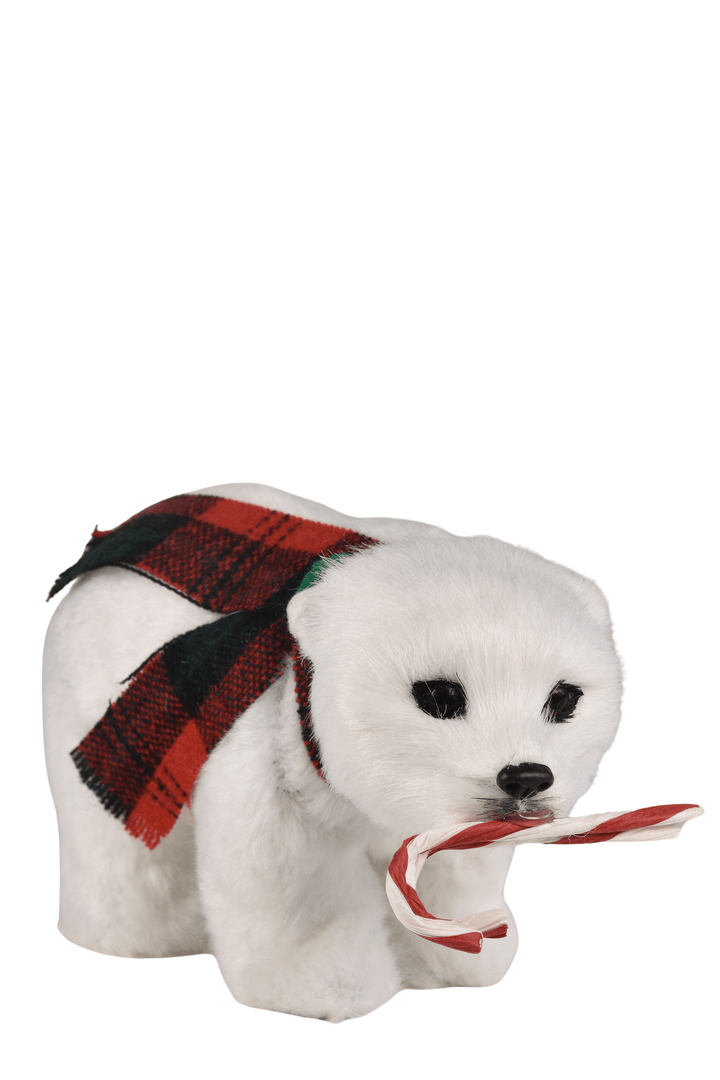 Polar Bear with Candy Cane