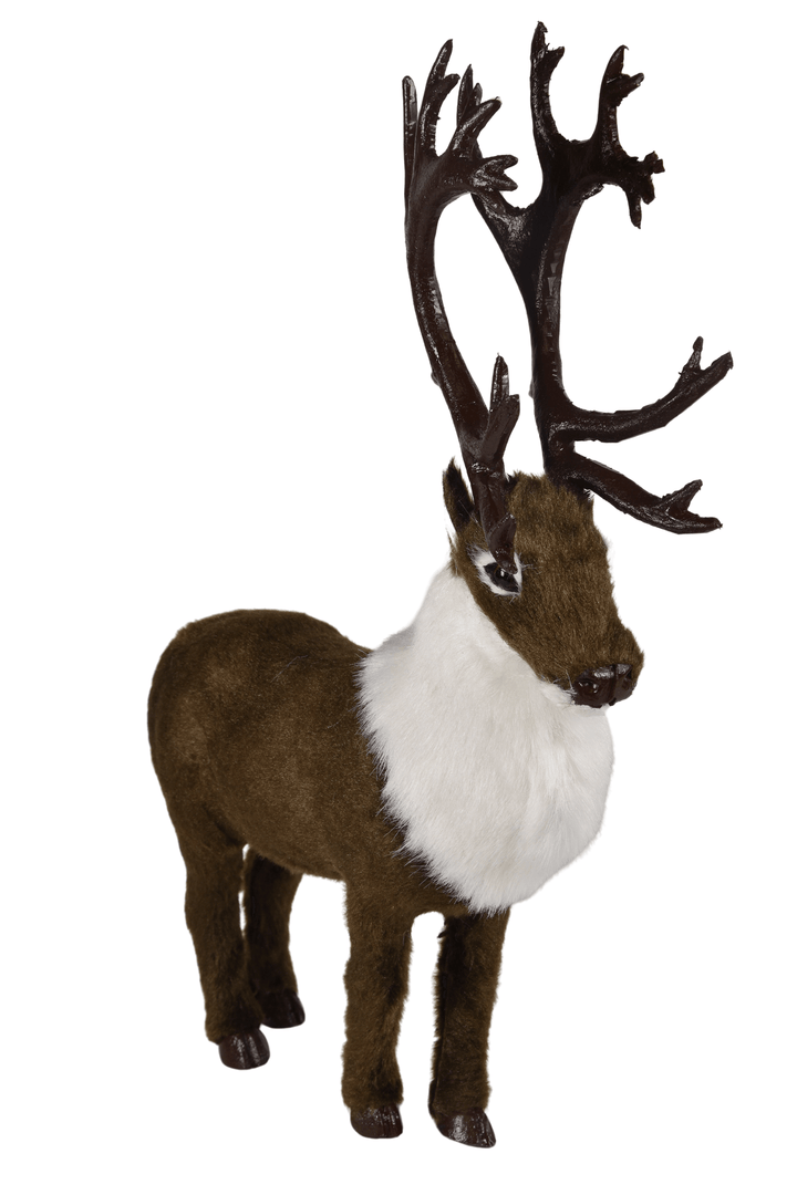 Caribou