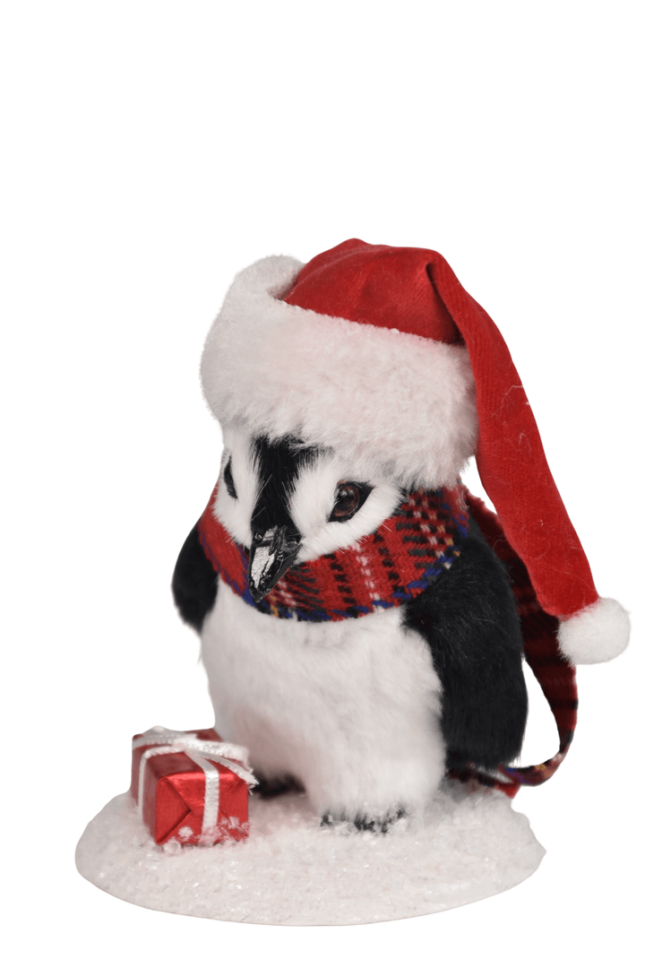 Penguin with Package