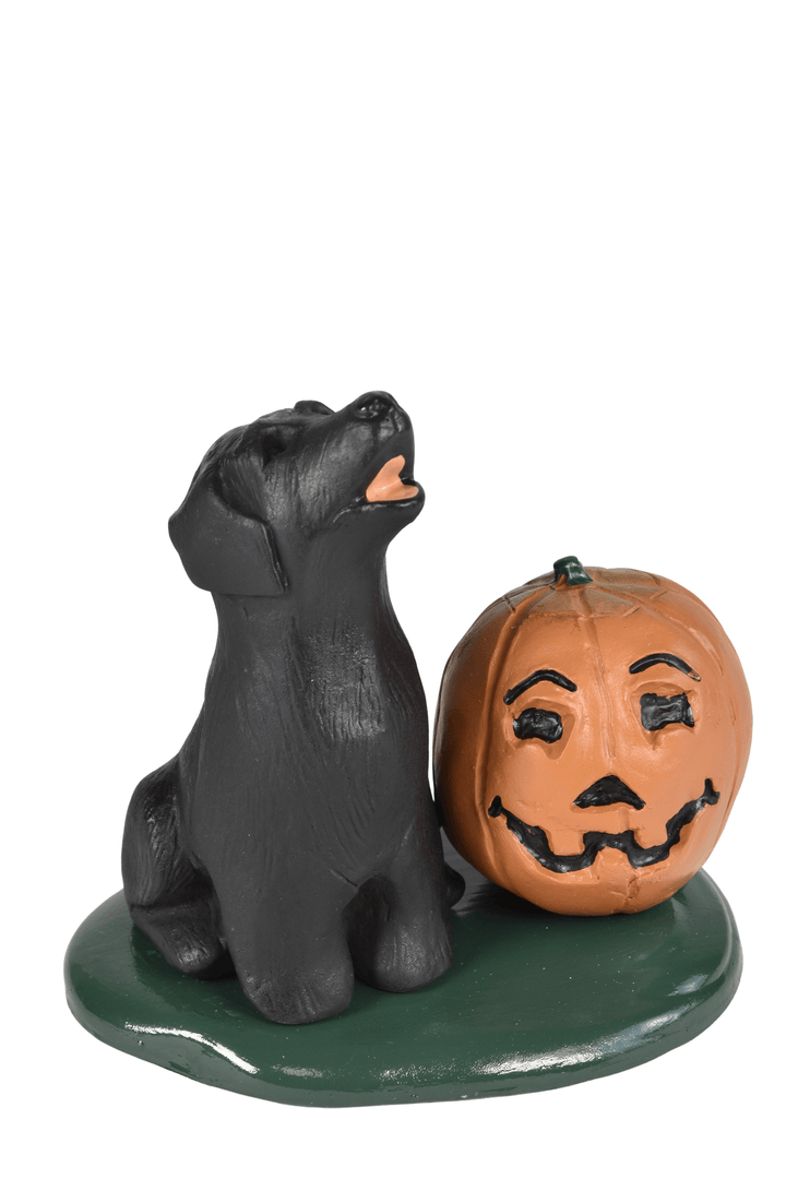Black Lab with Pumpkin