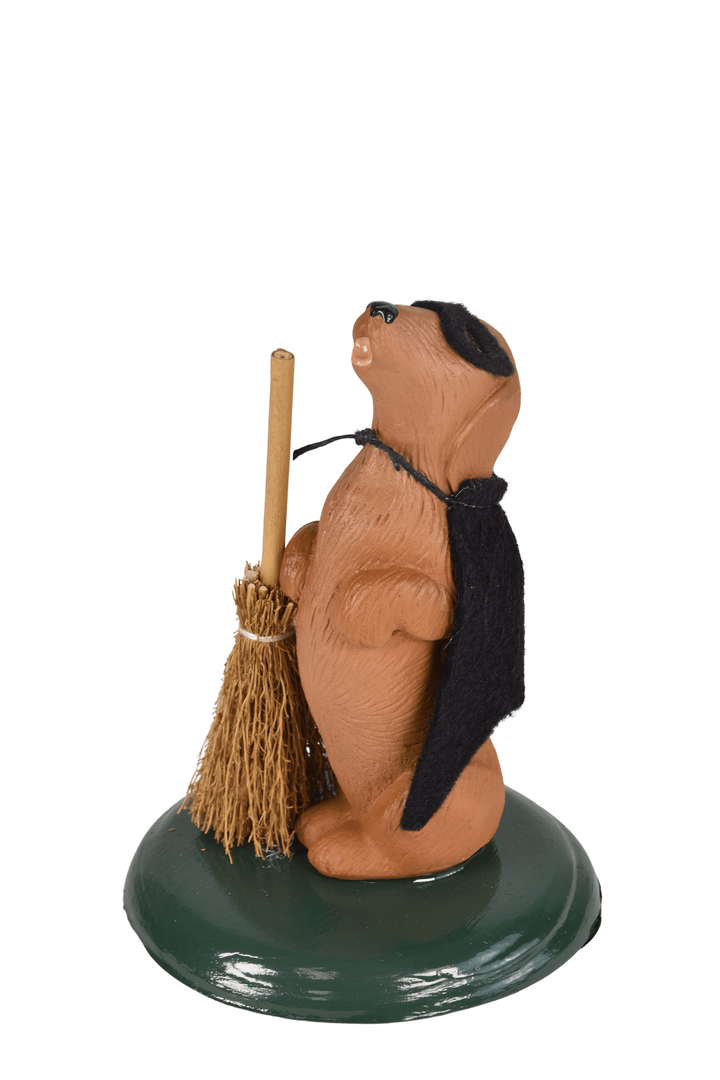 Dashshund with Broom