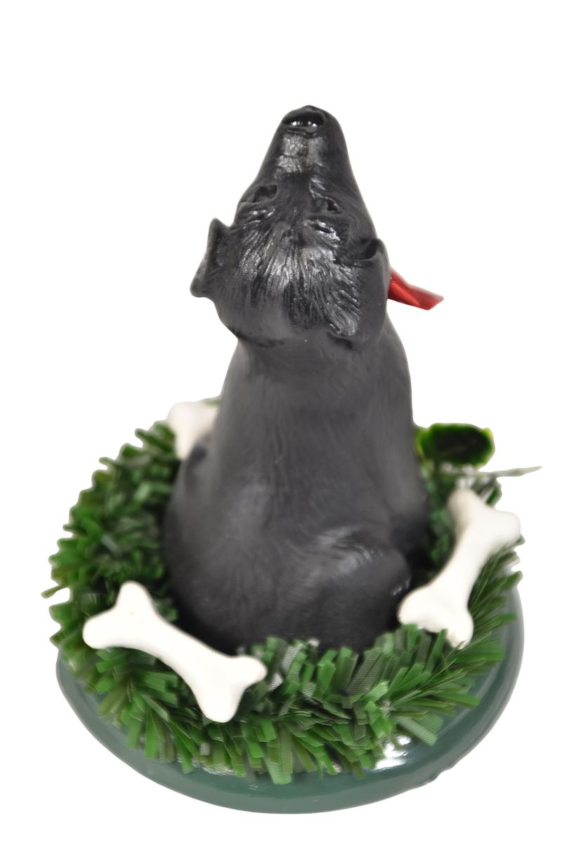 Black Labrador