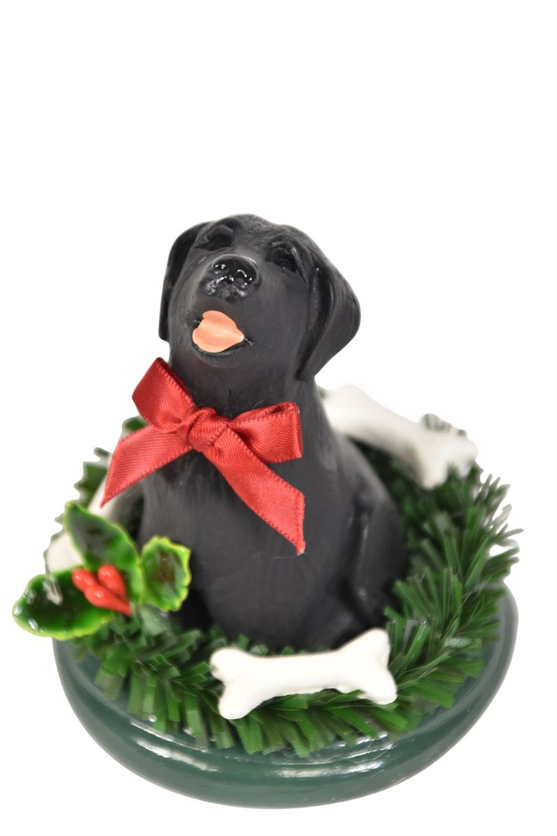 Black Labrador