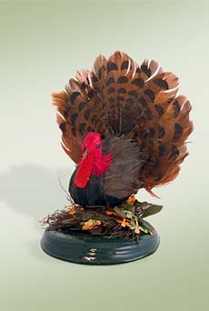 2009  Turkey on Base