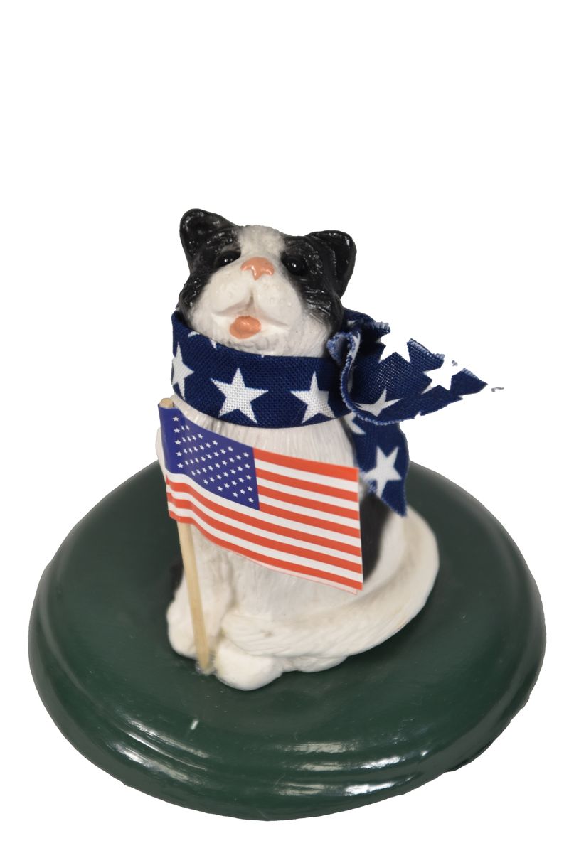 Patriotic Cat
