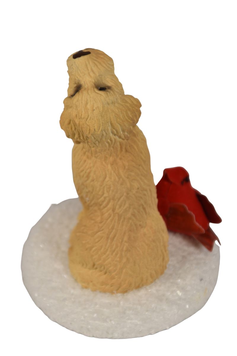 Golden Doodle with Cardinal