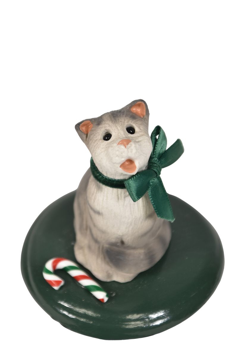 Silver Tabby Cat