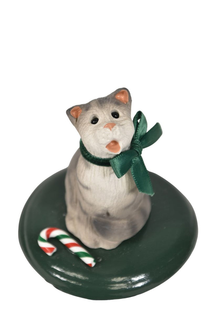 Silver Tabby Cat